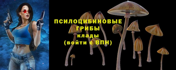 Альфа ПВП Арсеньев