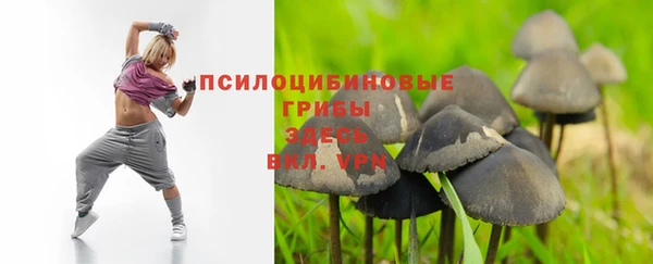 прущие крисы Аркадак