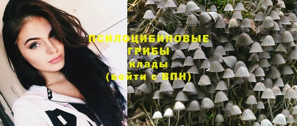 Альфа ПВП Арсеньев