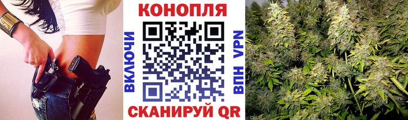 Каннабис планчик Покров